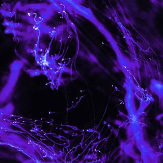 Purple and black aesthetic wallpaper