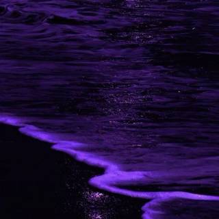 Purple and black aesthetic wallpaper