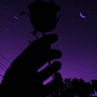 Purple and black aesthetic wallpaper