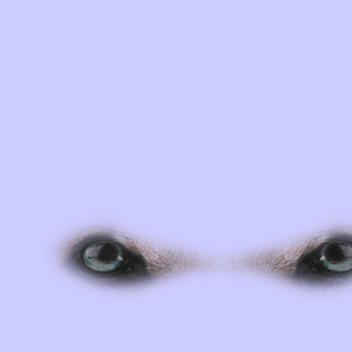 Animated desktop wallpaper