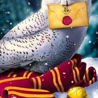 Hogwarts letter wallpaper