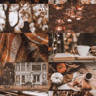 Autumn cottagecore HD wallpaper