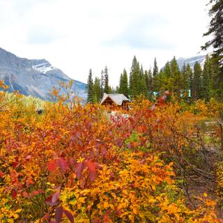 Autumn cottagecore HD wallpaper