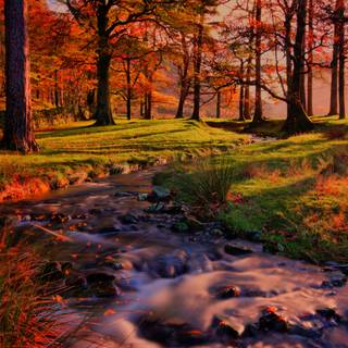 3000x2000 autumn wallpaper