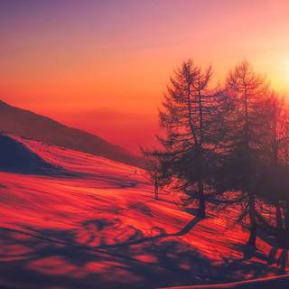 Aesthetic autumn Chromebook wallpaper