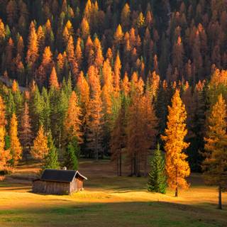 3000x2000 autumn wallpaper