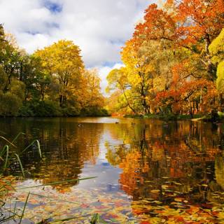 3000x2000 autumn wallpaper