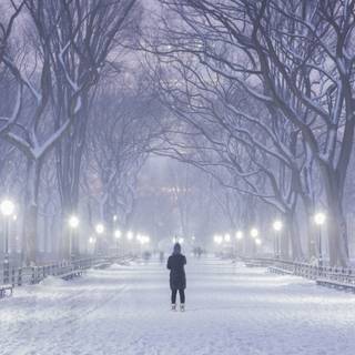 Winter New York City 4k wallpaper