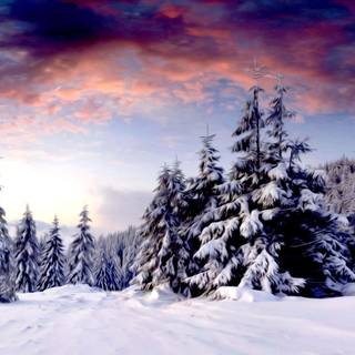 Winter landscape computer wallpaper