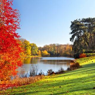 3000x2000 autumn wallpaper