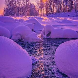 Winter landscape phone wallpaper