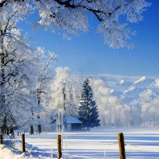 Winter landscape computer wallpaper
