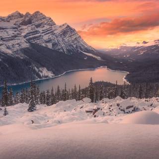 Winter landscape phone wallpaper