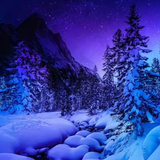 Winter landscape phone wallpaper