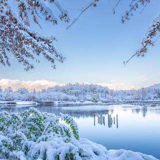 Winter landscape computer wallpaper