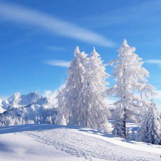 Winter landscape computer wallpaper