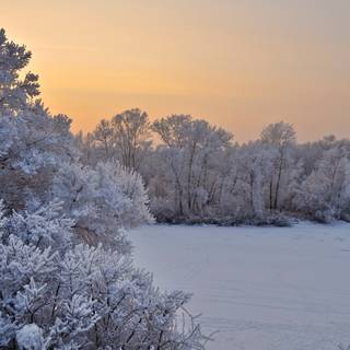 Winter landscape computer wallpaper