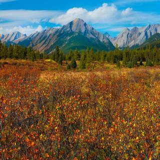 3000x2000 autumn wallpaper