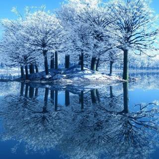 Winter landscape phone wallpaper