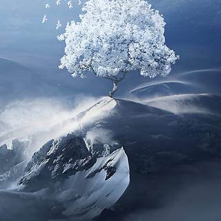 Winter landscape phone wallpaper