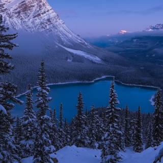 Winter landscape phone wallpaper