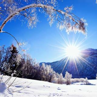 Winter landscape computer wallpaper