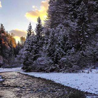 Winter landscape computer wallpaper