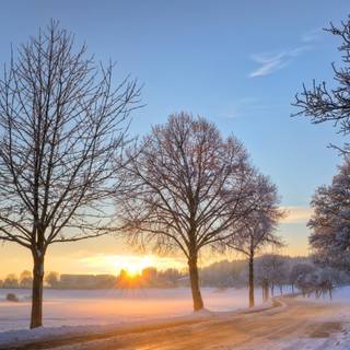 Winter landscape computer wallpaper