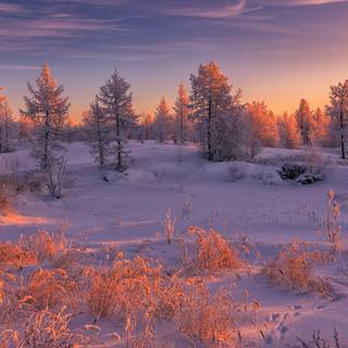 Winter landscape computer wallpaper