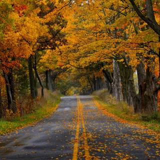 3000x2000 autumn wallpaper