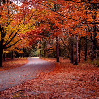 3000x2000 autumn wallpaper