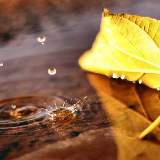 3000x2000 autumn wallpaper