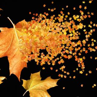 3000x2000 autumn wallpaper