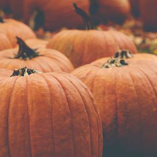 Aesthetic autumn Chromebook wallpaper