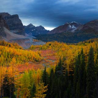 3000x2000 autumn wallpaper