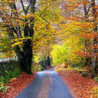 3000x2000 autumn wallpaper