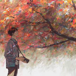 3000x2000 autumn wallpaper