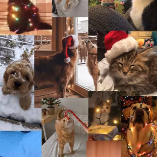 Dog Christmas collage wallpaper