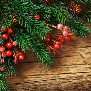 Pine tree Christmas wallpaper