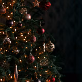Pine tree Christmas wallpaper