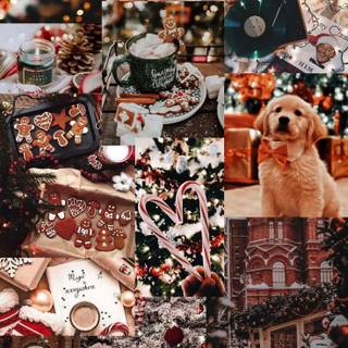 Dog Christmas collage wallpaper