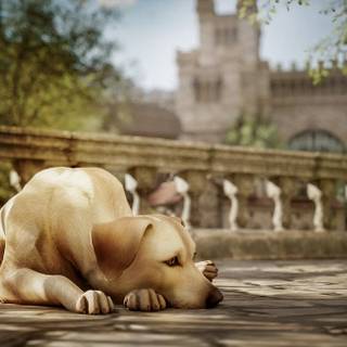 ArcheAge Chronicles wallpaper