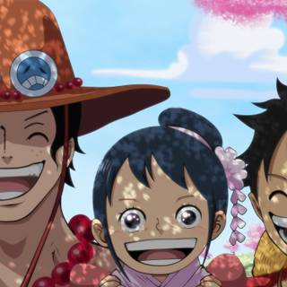 Tama One Piece wallpaper