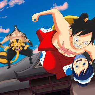 Tama One Piece wallpaper