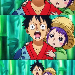 Tama One Piece wallpaper