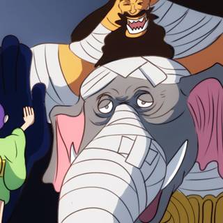 Tama One Piece wallpaper