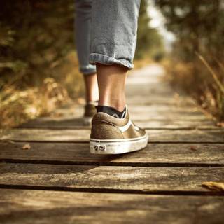 Walking path wallpaper