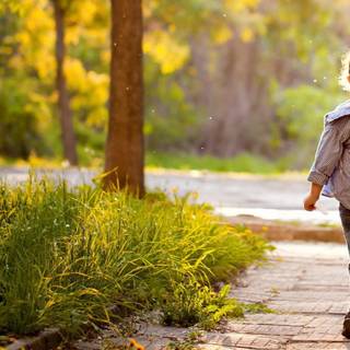 Walking path wallpaper