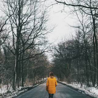 Walking path wallpaper