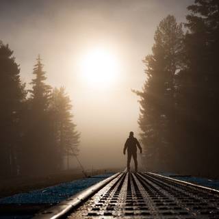 Walking path wallpaper